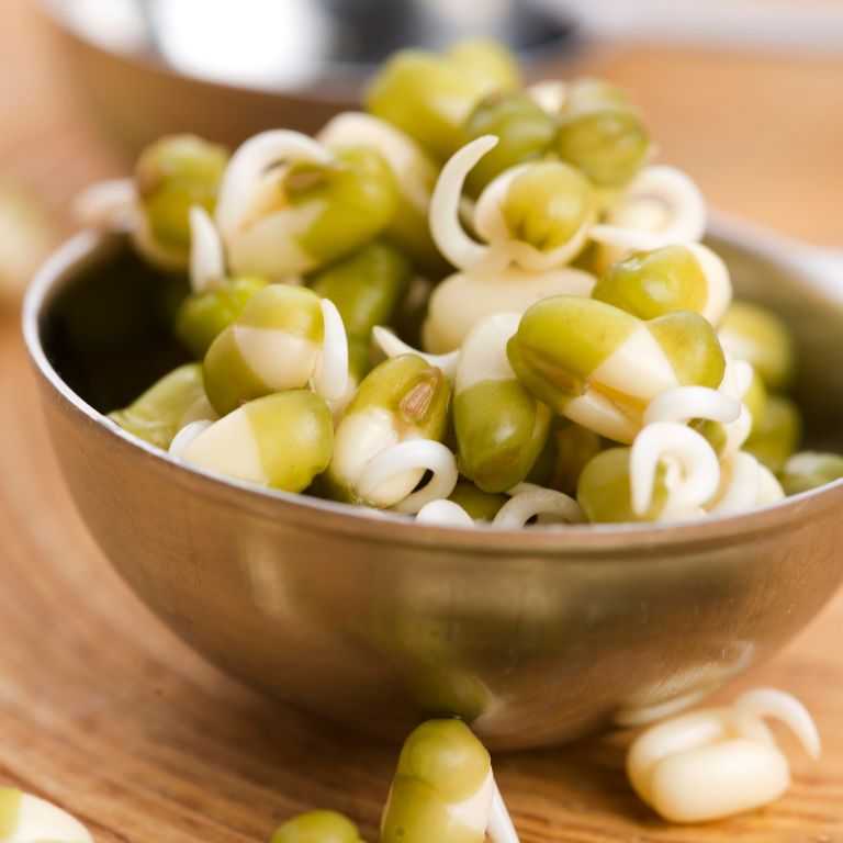 Brotes de frijol mungo