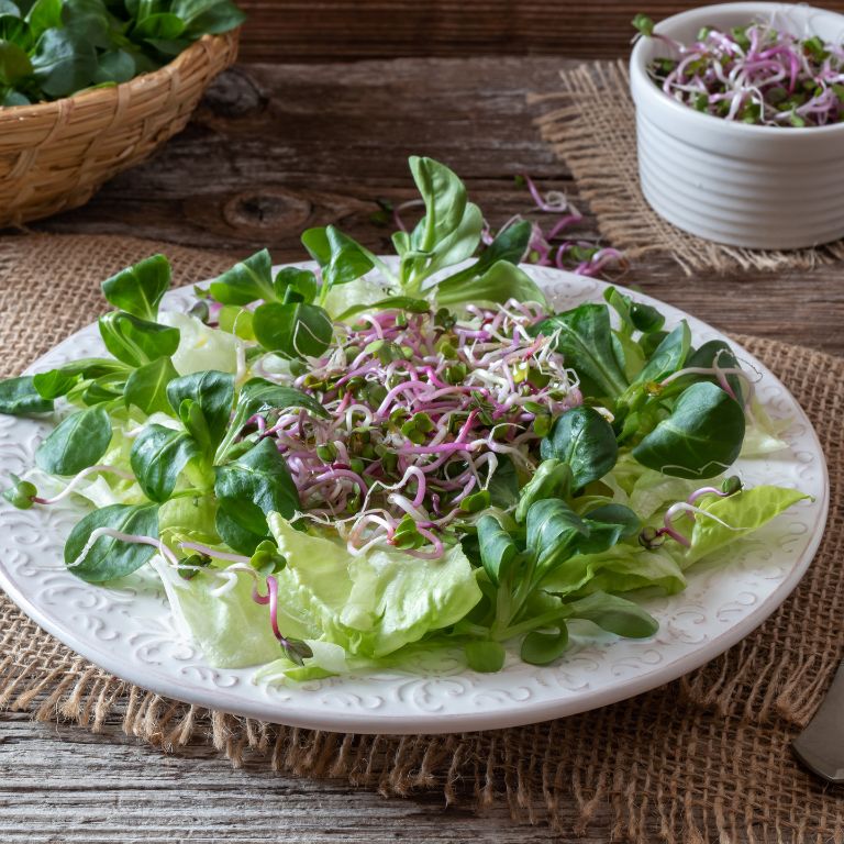 ensalada con brotes de rábano