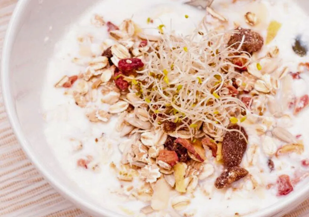 desayunar con yogurt fruta seca y brotes de alfalfa