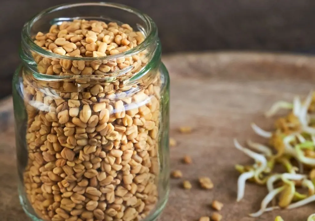 semillas de fenogreco y germinados