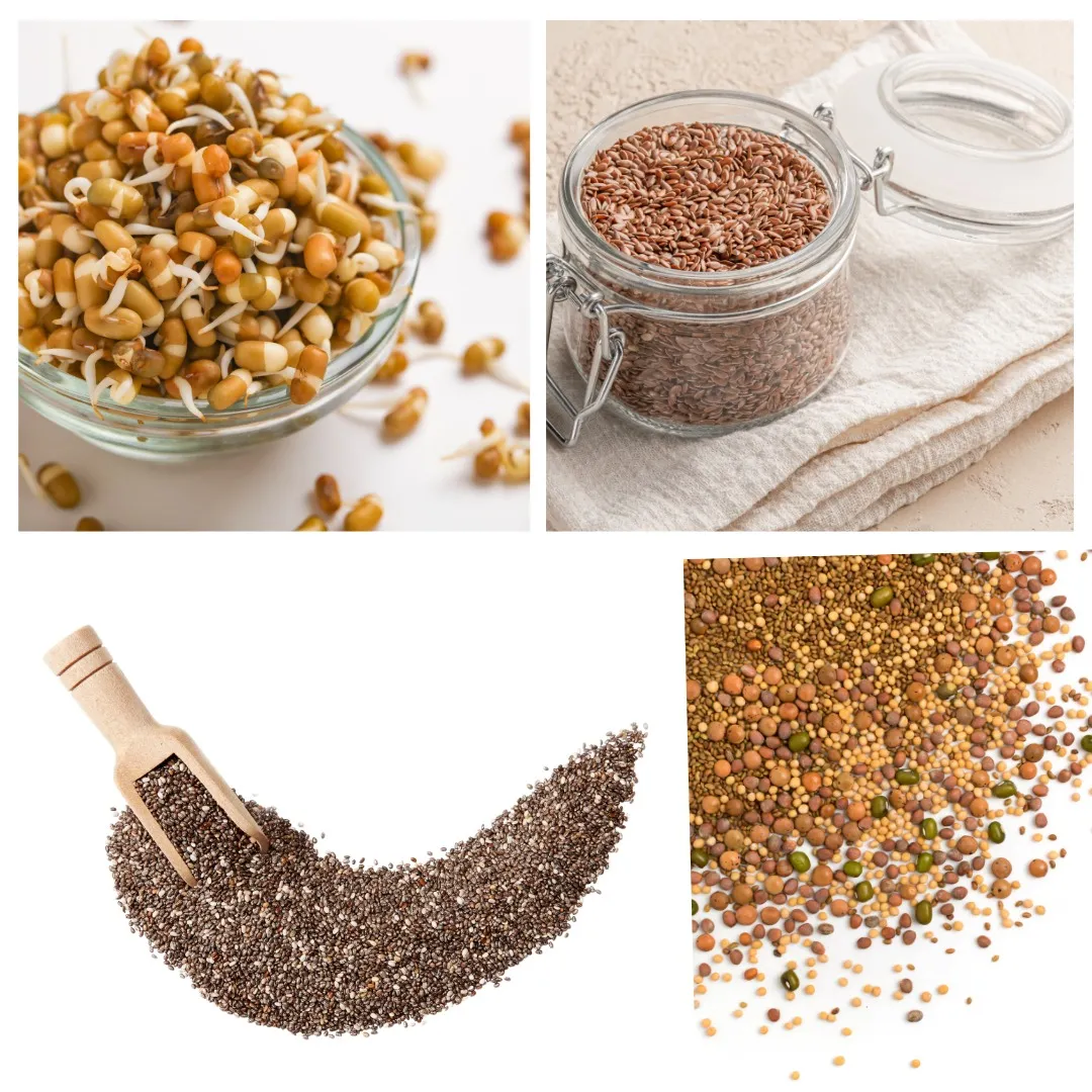 comprar semillas para germinados