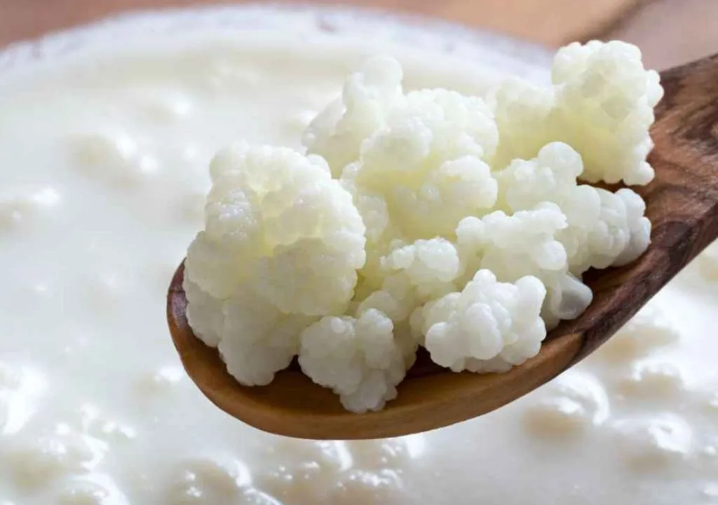 alimentos predigeridos
