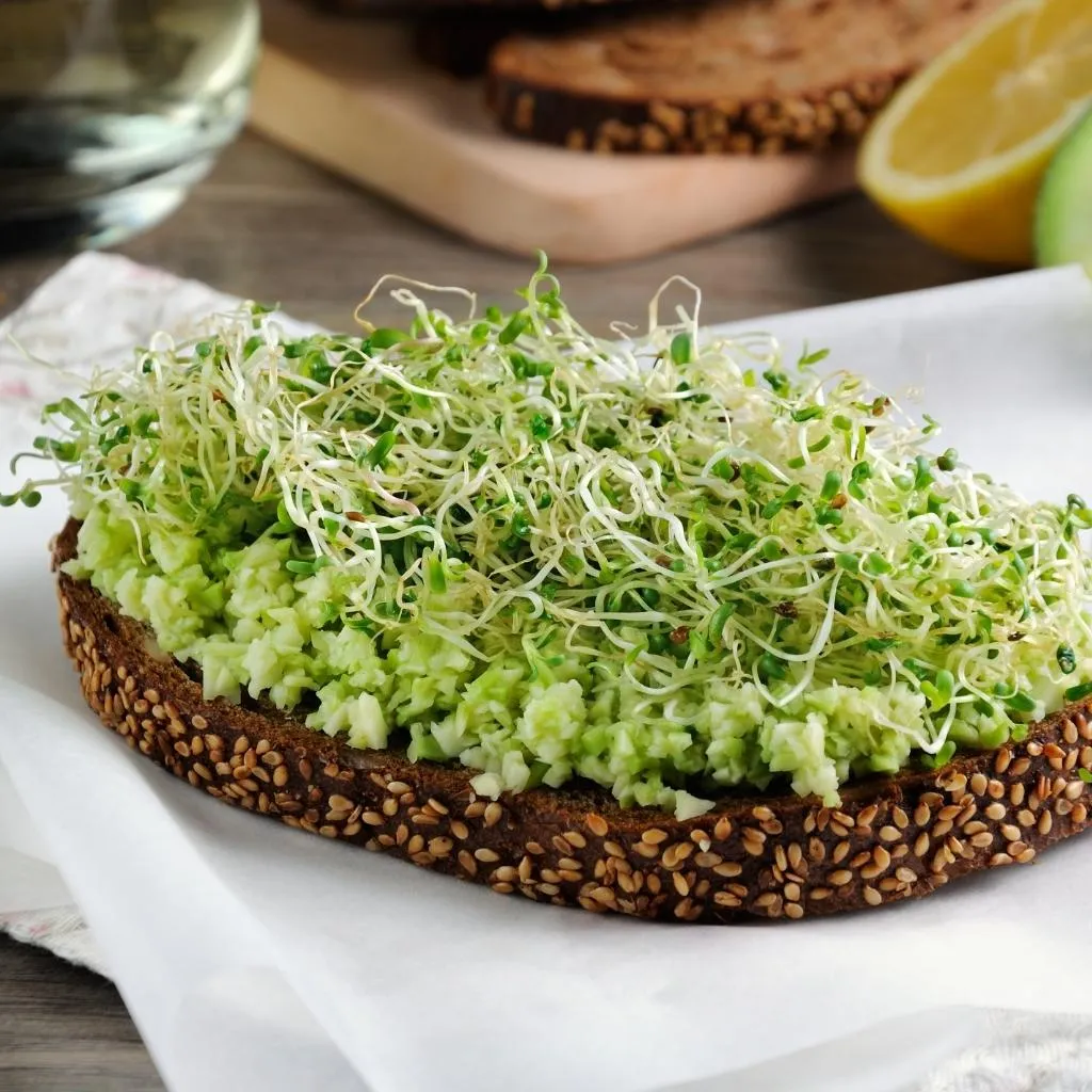 tostada con brotes de alfalfa