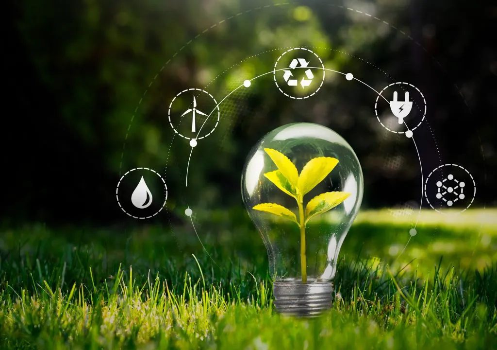 agricultura sostenible con brotes